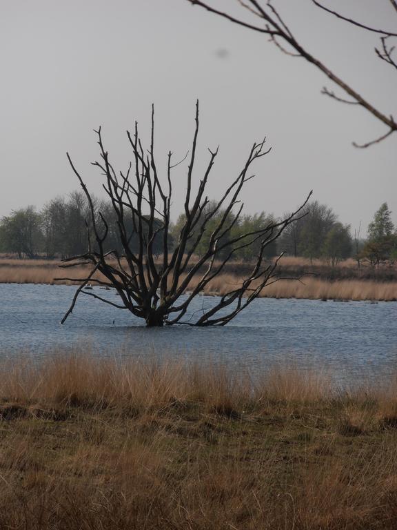 Gezond Boeren Verstand Dalerveen Екстериор снимка