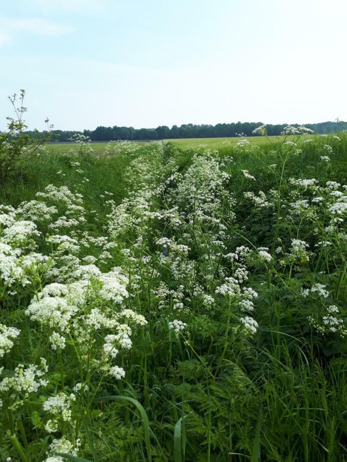 Gezond Boeren Verstand Dalerveen Екстериор снимка